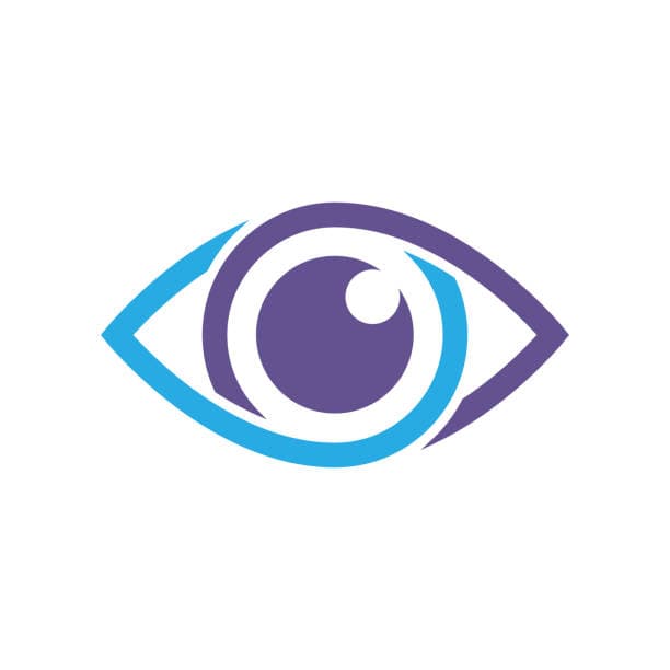 Vision Icon